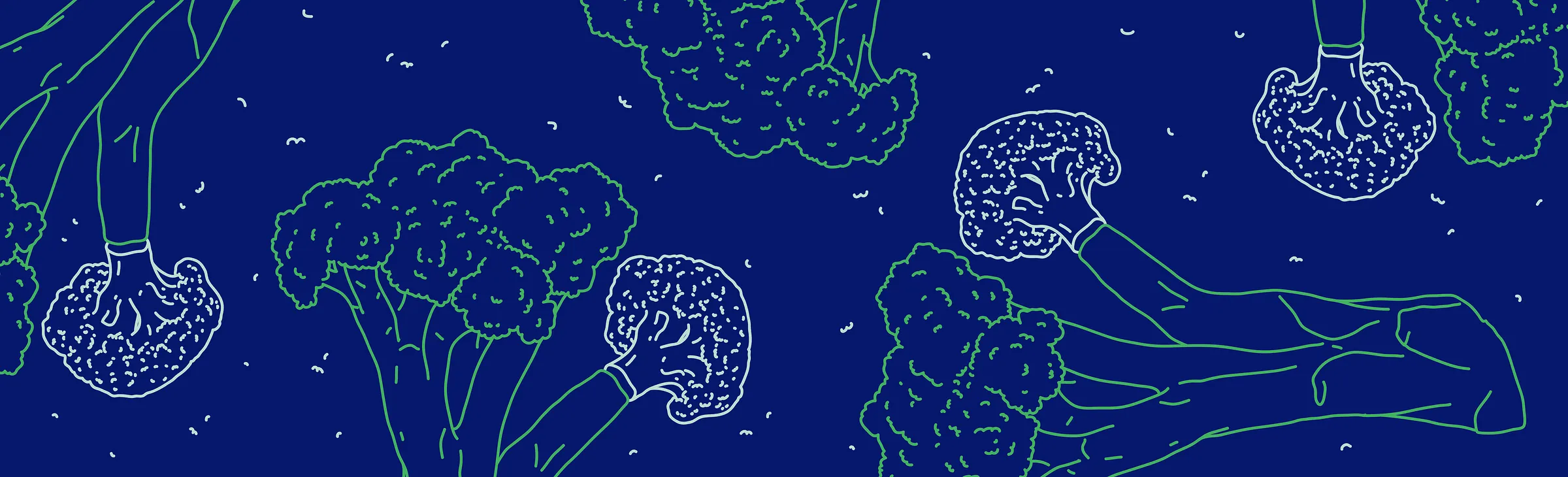 Line-art broccoli illustration on a dark blue background